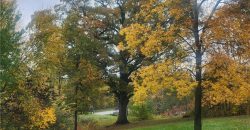 Homes for Sale in Kansas City, MO 64164 | 14005  Supreme Court