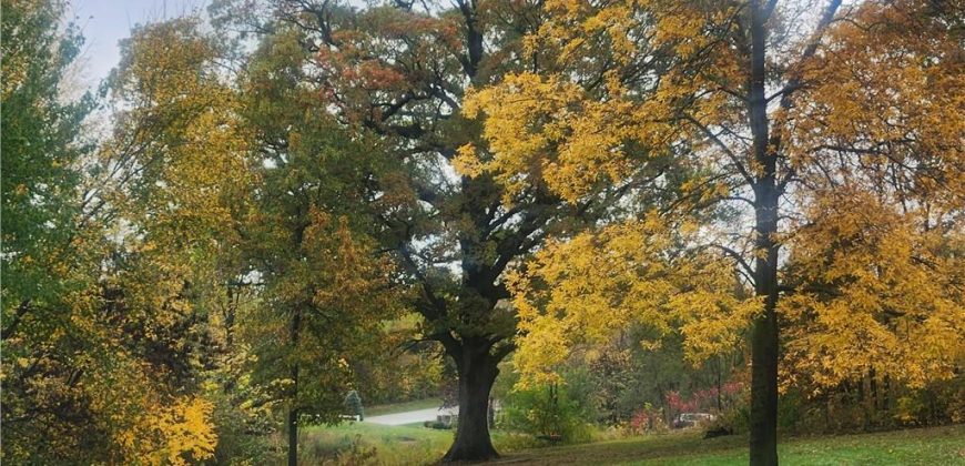 Homes for Sale in Kansas City, MO 64164 | 14005  Supreme Court