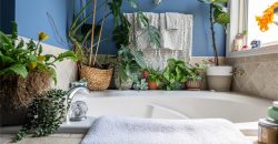 Homes for Sale in Kearney, MO 64060 | 606  Briar Lane