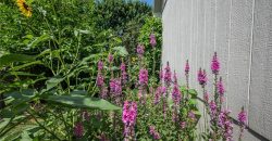 Homes for Sale in Kearney, MO 64060 | 606  Briar Lane