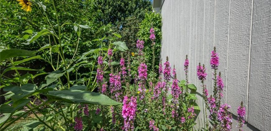 Homes for Sale in Kearney, MO 64060 | 606  Briar Lane