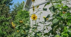 Homes for Sale in Kearney, MO 64060 | 606  Briar Lane