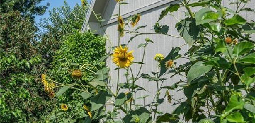 Homes for Sale in Kearney, MO 64060 | 606  Briar Lane