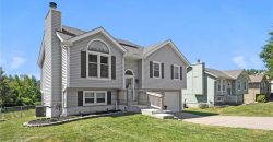 Homes for Sale in Kansas City, MO 64155 | 10222 N Central Street