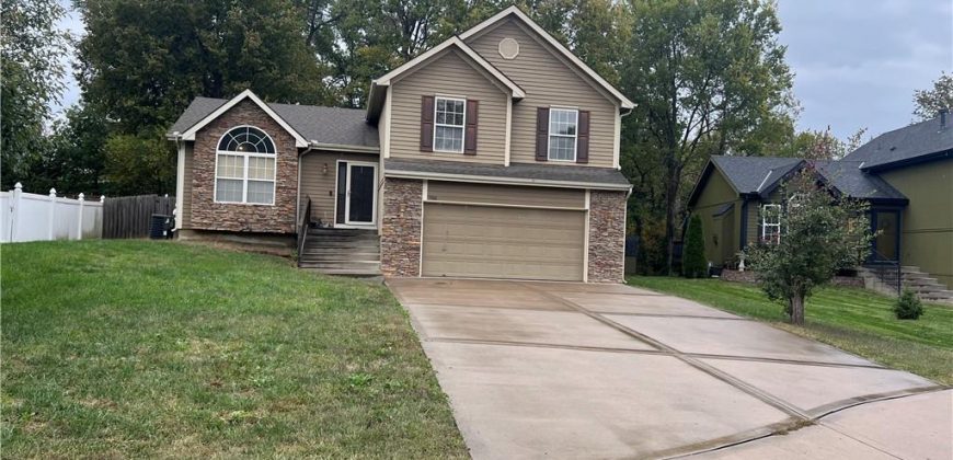 Homes for Sale in Kansas City, MO 64155 | 708 NE 99TH Street