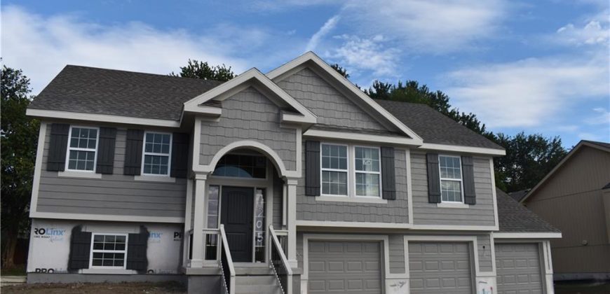 Homes for Sale in Kearney, MO 64060 | 1209  Noah Lane Homes for Sale in Kearney, MO 64060 | 1209  Noah Lane