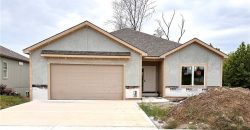 Homes for Sale in Kansas City, MO 64157 | 10022 N Oakland Avenue