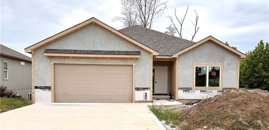 Homes for Sale in Kansas City, MO 64157 | 10022 N Oakland Avenue