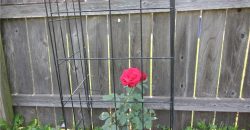 Homes for Sale in Platte City, MO 64079 | 112  FERREL Street