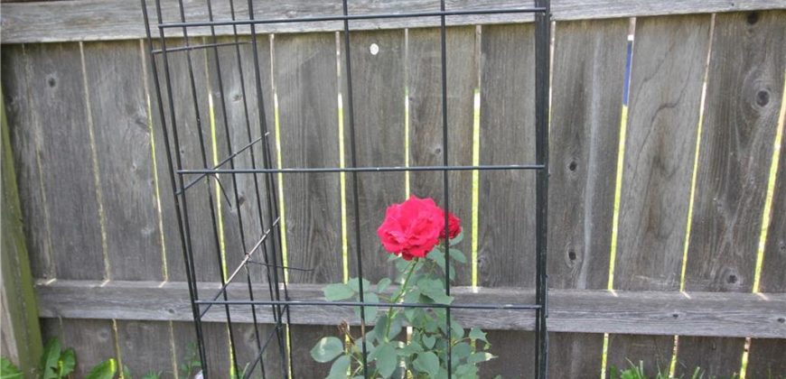 Homes for Sale in Platte City, MO 64079 | 112  FERREL Street