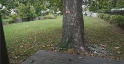 Homes for Sale in Kansas City, MO 64119 | 4949 N Topping Avenue