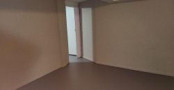 Homes for Sale in Liberty, MO 64068 | 913 S Missouri Street