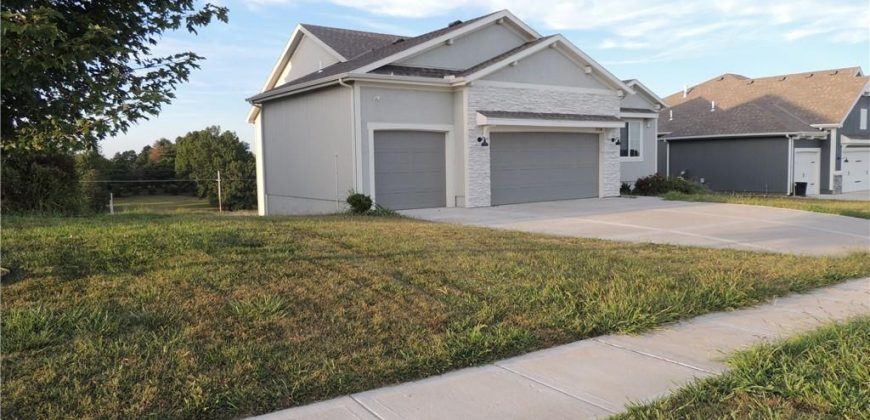 Homes for Sale in Kansas City, MO 64157 | 9110 NE 111th Place