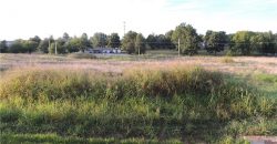 Homes for Sale in Kansas City, MO 64157 | 9110 NE 111th Place