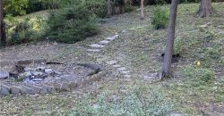 Homes for Sale in Kansas City, MO 64116 | 807 NE 46th Street