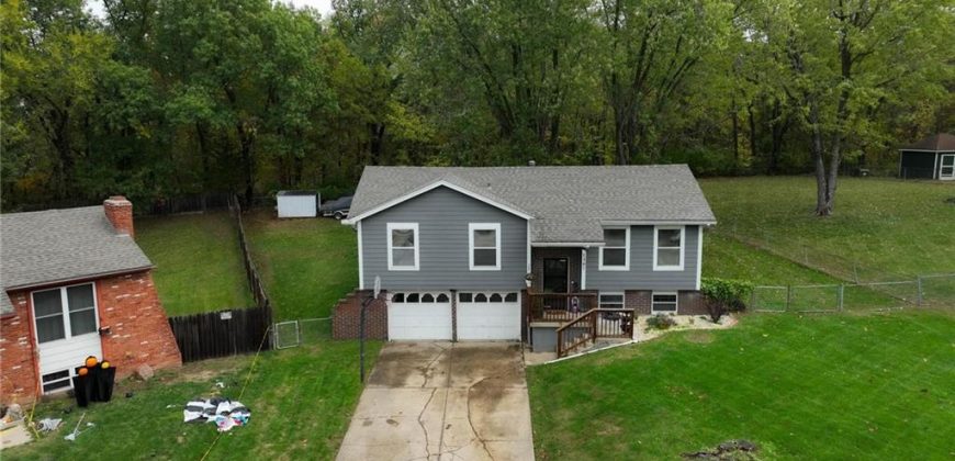 Homes for Sale in Excelsior Springs, MO 64024 | 1307  Michele Drive Homes for Sale in Excelsior Springs, MO 64024 | 1307  Michele Drive