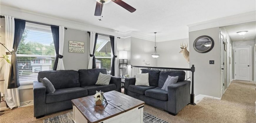 Homes for Sale in Excelsior Springs, MO 64024 | 1307  Michele Drive Homes for Sale in Excelsior Springs, MO 64024 | 1307  Michele Drive