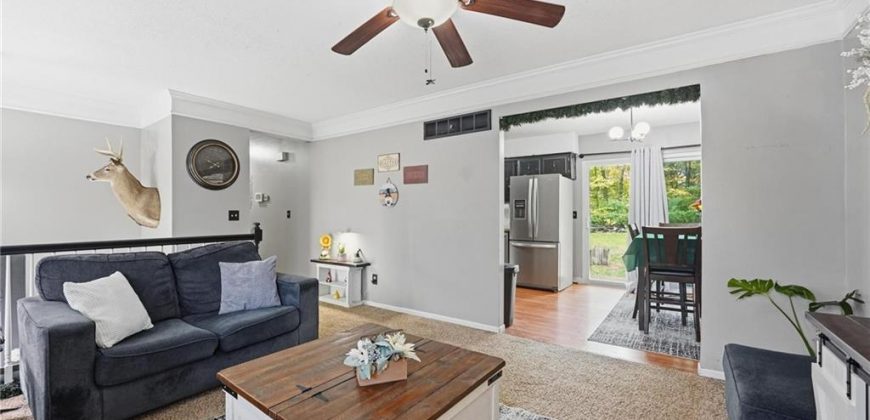 Homes for Sale in Excelsior Springs, MO 64024 | 1307  Michele Drive Homes for Sale in Excelsior Springs, MO 64024 | 1307  Michele Drive