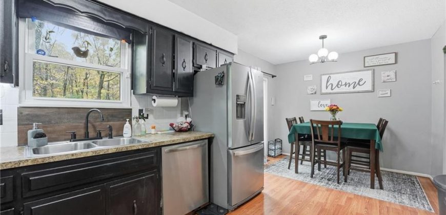 Homes for Sale in Excelsior Springs, MO 64024 | 1307  Michele Drive Homes for Sale in Excelsior Springs, MO 64024 | 1307  Michele Drive