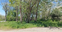 Homes for Sale in Kansas City, MO 64154 | 9121 NW Old Stagecoach Road