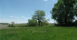 Homes for Sale in Kansas City, MO 64154 | 9121 NW Old Stagecoach Road