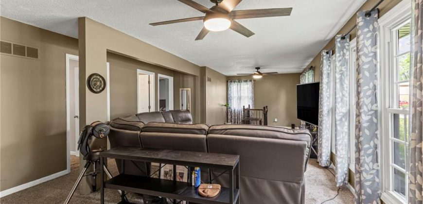 Homes for Sale in Excelsior Springs, MO 64024 | 1009  Miss Belle Street