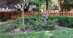 Homes for Sale in Kansas City, MO 64151 | 7424  Amoret Avenue