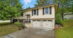 Homes for Sale in Kansas City, MO 64155 | 400 NE 98th Terrace