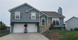 Homes for Sale in Kansas City, MO 64157 | 9305 NE Paw Paw Drive