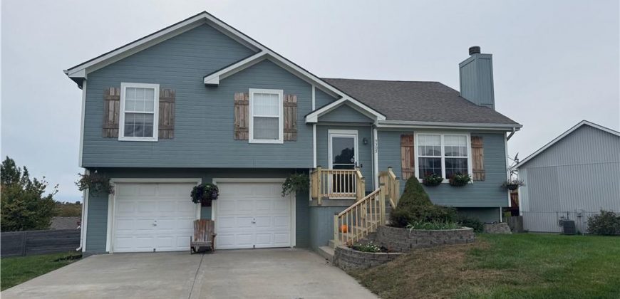 Homes for Sale in Kansas City, MO 64157 | 9305 NE Paw Paw Drive