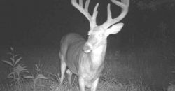 Homes for Sale in Smithville, MO 64089 | 7803 NE 160th Terrace