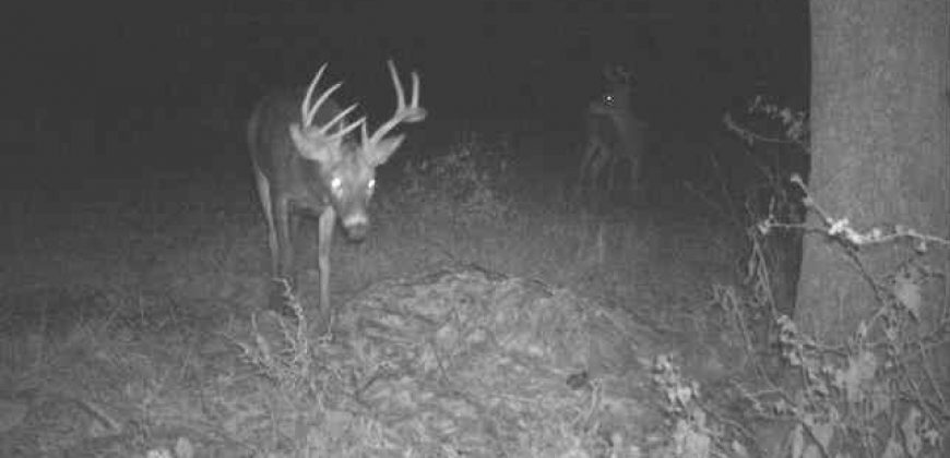 Homes for Sale in Smithville, MO 64089 | 7803 NE 160th Terrace