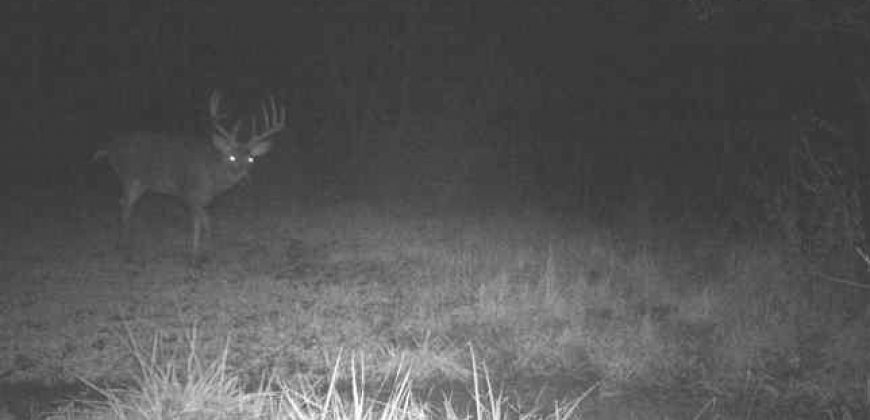 Homes for Sale in Smithville, MO 64089 | 7803 NE 160th Terrace