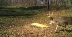 Homes for Sale in Smithville, MO 64089 | 7803 NE 160th Terrace