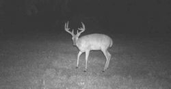 Homes for Sale in Smithville, MO 64089 | 7803 NE 160th Terrace