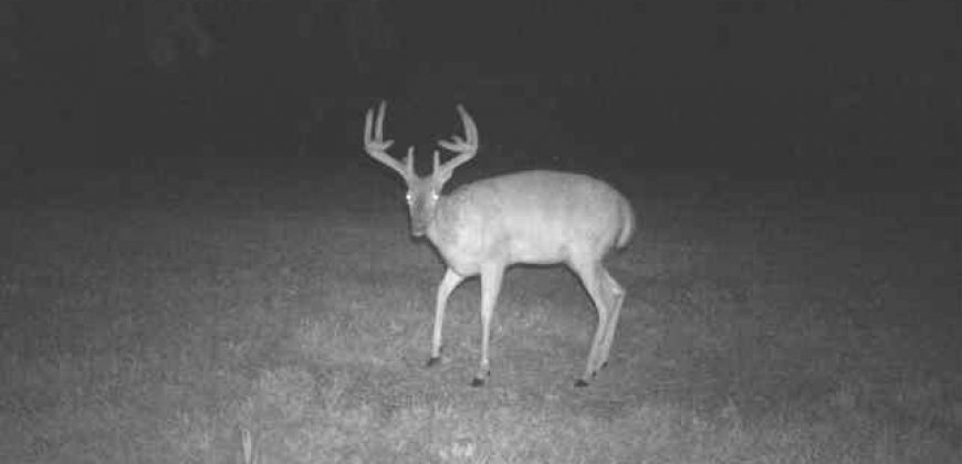 Homes for Sale in Smithville, MO 64089 | 7803 NE 160th Terrace