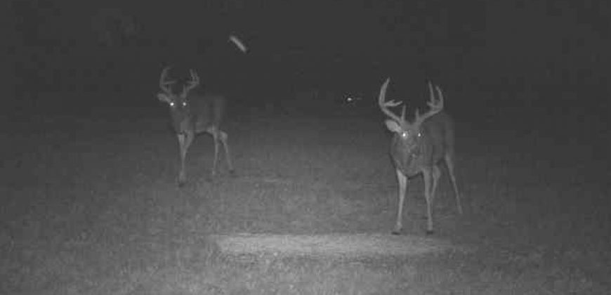 Homes for Sale in Smithville, MO 64089 | 7803 NE 160th Terrace