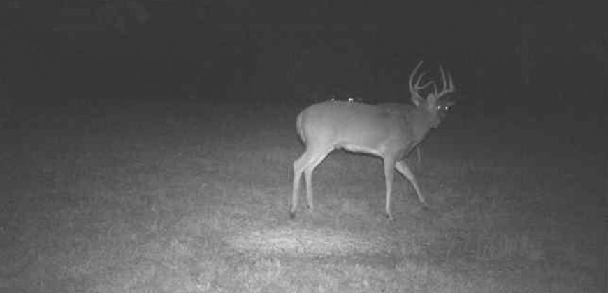 Homes for Sale in Smithville, MO 64089 | 7803 NE 160th Terrace