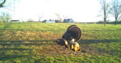 Homes for Sale in Smithville, MO 64089 | 7803 NE 160th Terrace