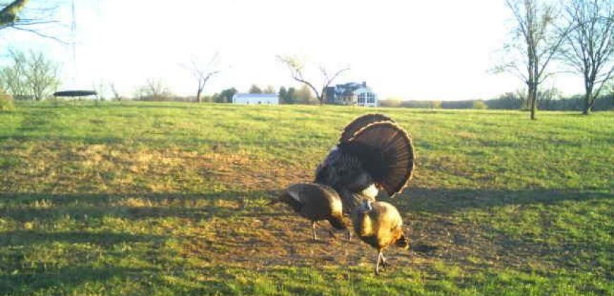 Homes for Sale in Smithville, MO 64089 | 7803 NE 160th Terrace