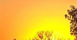 Homes for Sale in Kansas City, MO 64157 | 8924  Paw Paw Drive