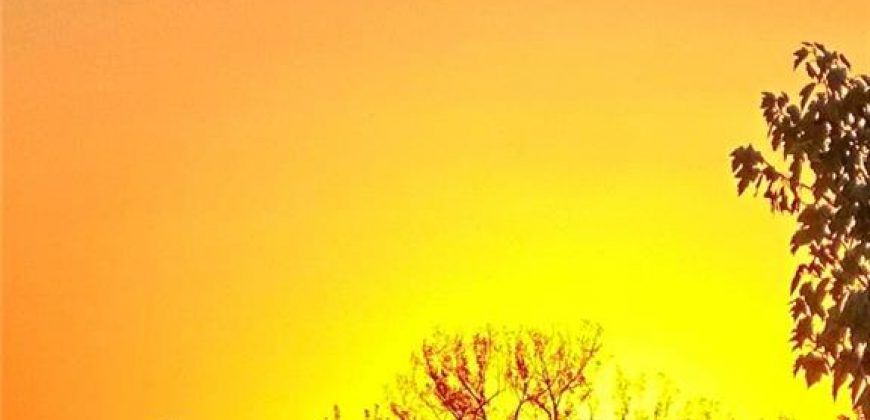 Homes for Sale in Kansas City, MO 64157 | 8924  Paw Paw Drive