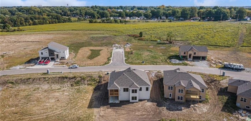 Homes for Sale in Lawson, MO 64062 | 462  Green Drive