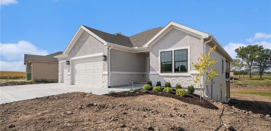 Homes for Sale in Lawson, MO 64062 | 462  Green Drive