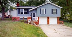 Homes for Sale in Kansas City, MO 64155 | 17 NE 90th Terrace