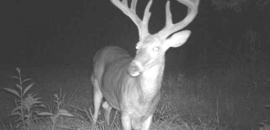 Homes for Sale in Smithville, MO 64089 | 7803 NE 160th Terrace