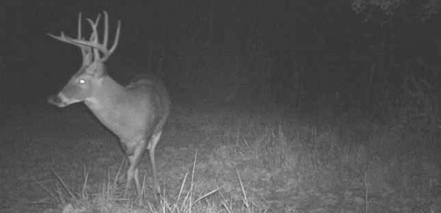 Homes for Sale in Smithville, MO 64089 | 7803 NE 160th Terrace