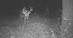 Homes for Sale in Smithville, MO 64089 | 7803 NE 160th Terrace