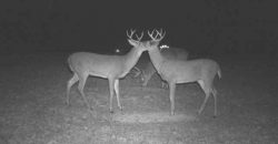 Homes for Sale in Smithville, MO 64089 | 7803 NE 160th Terrace