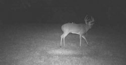 Homes for Sale in Smithville, MO 64089 | 7803 NE 160th Terrace